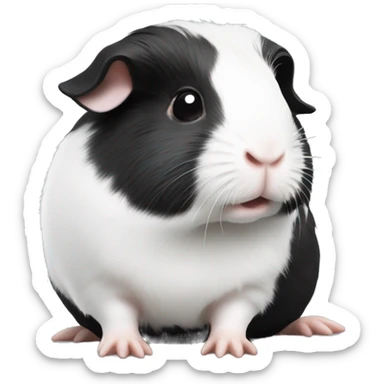 Black with white spots guineapig sitting down very cute but realistic sticker