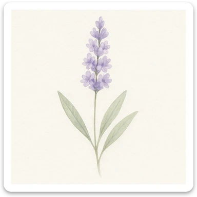 Make the lavender sprig more detailed, with delicate petals and realistic leaves, while keeping the soft background and gentle, minimal look in a watercolor art style. sticker