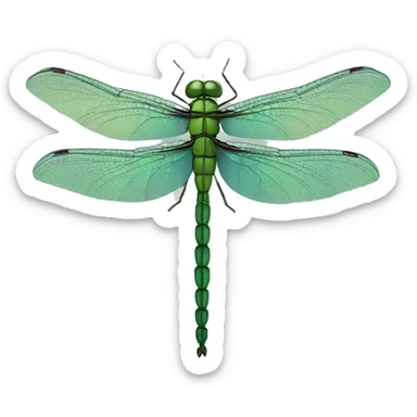 Dragonfly sticker