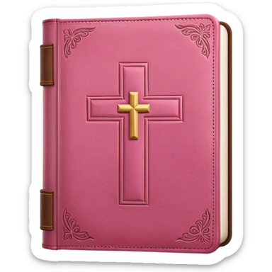 Pink bible  sticker