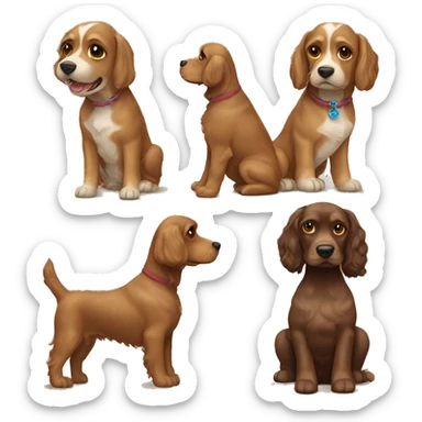 A shitz Su and cocker spaniel mix dog that has light brown, dark brown colors sticker