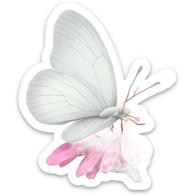 white butterfly on a pink flower sticker
