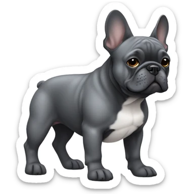 Dark grey French bulldog  sticker