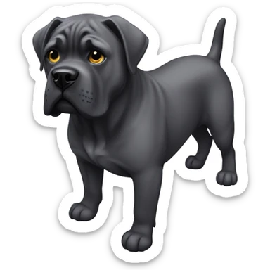 Cane corso sticker