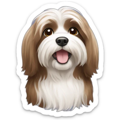 Brown and white Havanese dog with long hair sticker