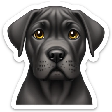 Cane corso puppy sticker