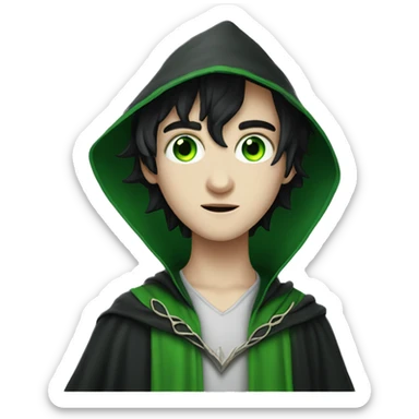 teenage white-skinned wizard with black hair green eyes in green disgue sticker
