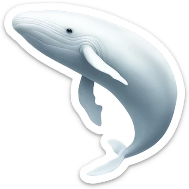 white whale , underside sticker