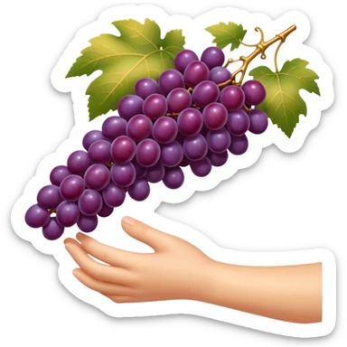 elegant hand picking one or two perfectly ripe glossy purple grapes from a vine under warm golden sunlight minimalist luxury style clean emoji look soft shading premium feel sticker