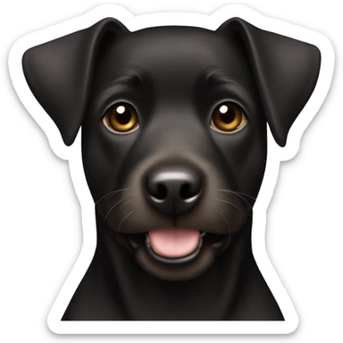 A black Patterdale Terrier dog with a white patch on its chest and brown eyes.  sticker