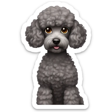 Poodle sticker