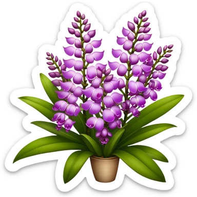 super big bouquet Rhynchostylis Orchid, stem, leaf sticker