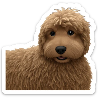 fluffy dog behind curtains sticker