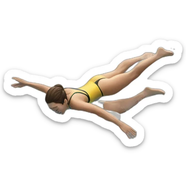 dive into pool sticker