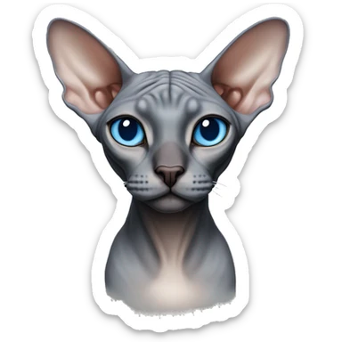 sphynx cat with light blue eyes, brigde of the nose and nose black sticker