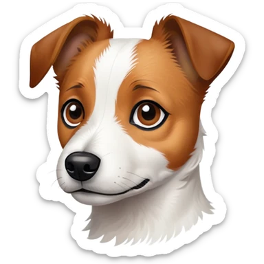super scruffy jack russell mix white face  sticker