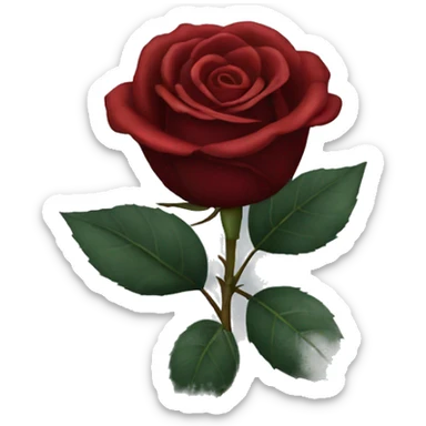 Dark red rose sticker