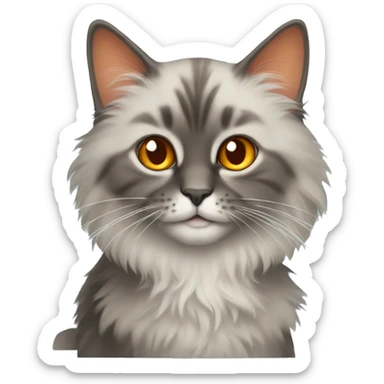 fluffy turkish can cat with orange sticker