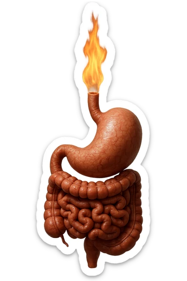 intestino e stomaco sono collegati, con una fiamma che brucia sopra, iperrealistico 4k, non disegnato sticker