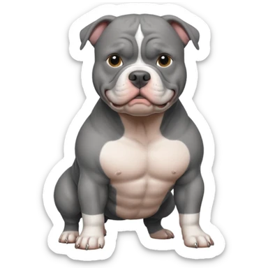 american bully grey sticker