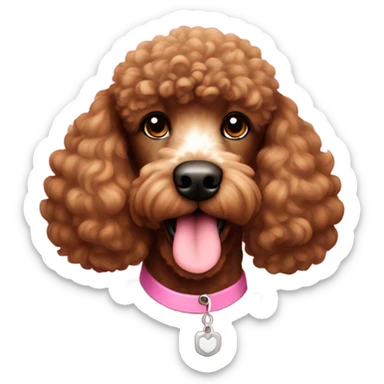 Brown poodle pink nose white chest sticker
