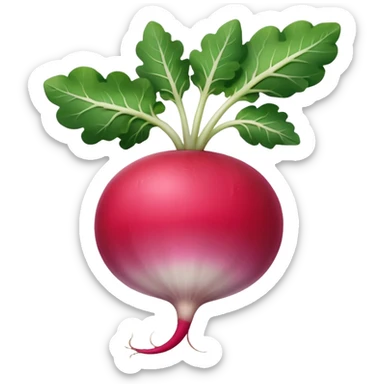 radish UK plant with a bit of white on the bottom of the radish sticker