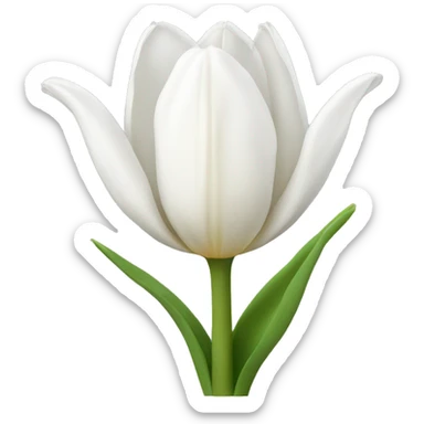 white tulip sticker