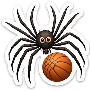 A spider with a basketball sticker