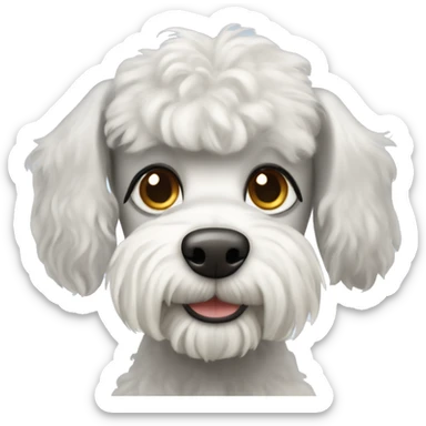 White schnauzer poodle mix dog  sticker