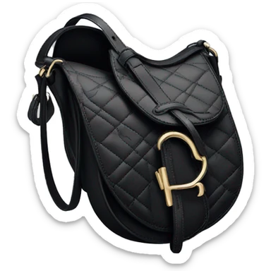 dior black saddle bag  sticker