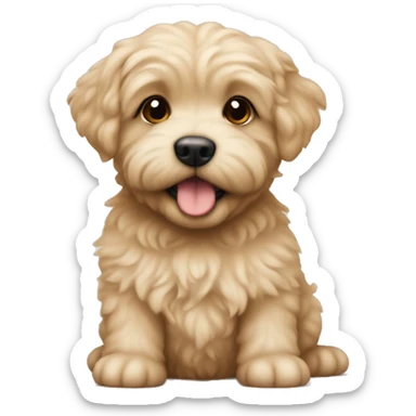 Little cute havapoo beige sticker