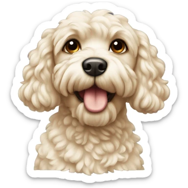 Cream cockapoo  sticker
