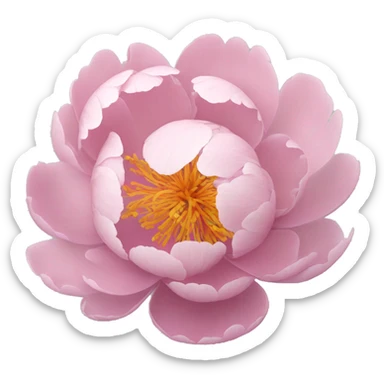Peony sticker