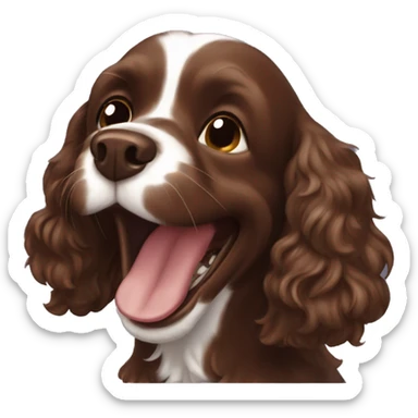 Chocolate brown cocker spaniel laughing sticker