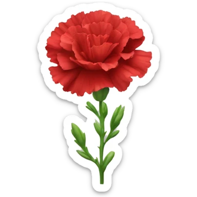 red Carnation flower sticker