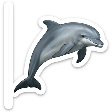 Dolphin sticker