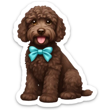 Chocolate labradoodle wearing a bow sticker