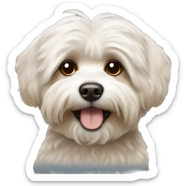 Brown bichon havanese dog sticker