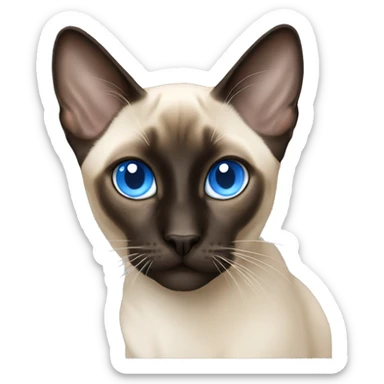 siamese blue eyes sticker