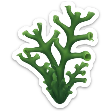 Kelp  sticker