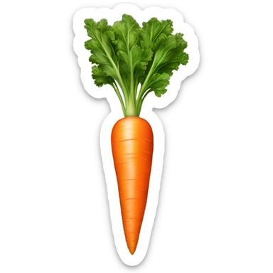 Carrot  sticker