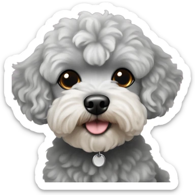 Dart gray maltipoo with light gray snout sticker