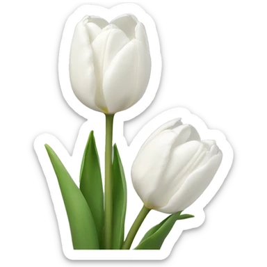 White tulips sticker