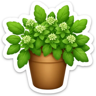 oregano herb bouquet sticker