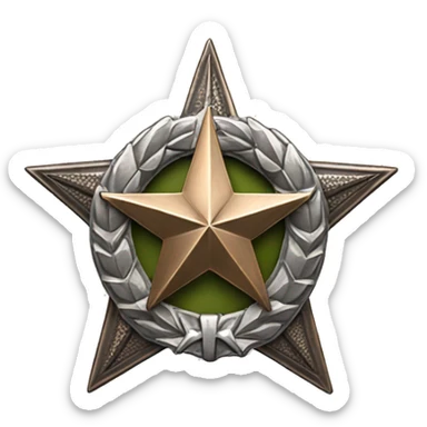 Bronze military badge with a silver star and a wreathe sticker