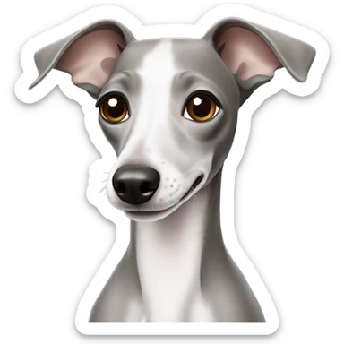 smiling italian greyhound with half-grey half-white fce sticker