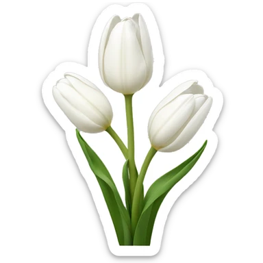 White tulips  sticker