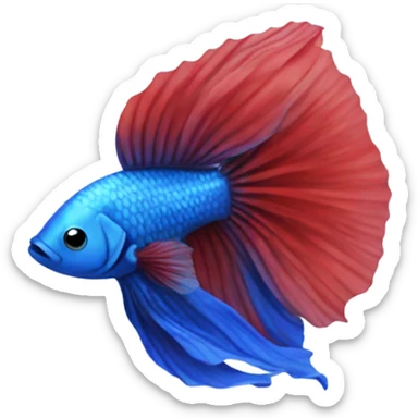 Red betta fish with blue on belly sticker