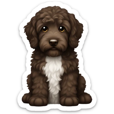 Dark brown Australian labradoodle puppy sticker