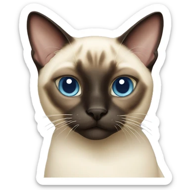 Siamese cat sticker